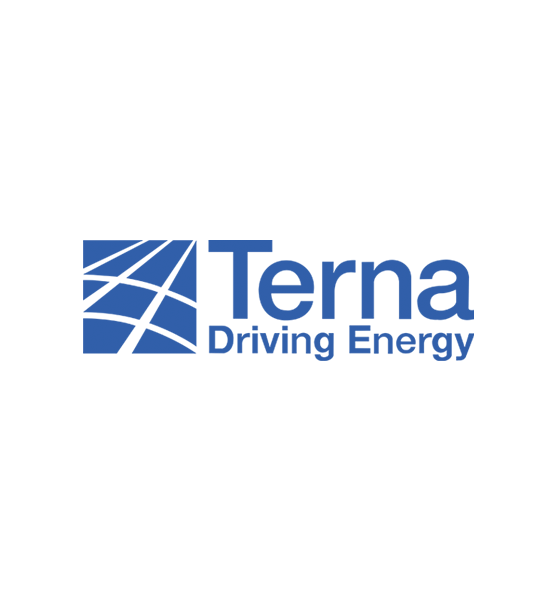 Terna Driving energy