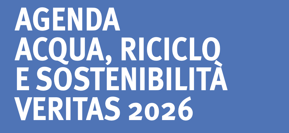 Agenda Veritas 2026: intervista al direttore VSF