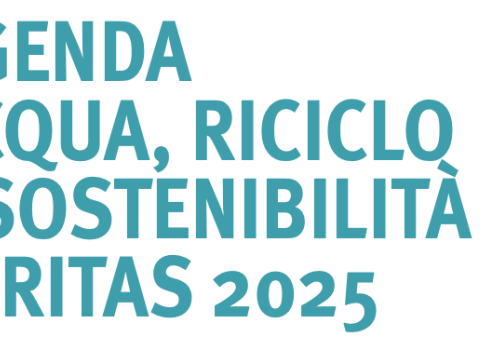 Agenda Veritas 2025: intervista al direttore VSF