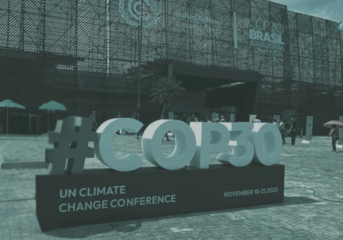VSF alla COP30 | Venezia come doppio modello di adattamento climatico – Infrastrutture, natura e formazione