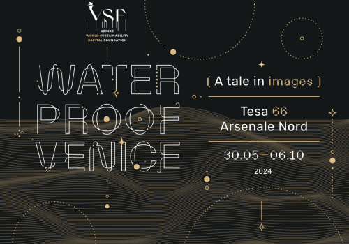 Waterproof Venice. A tale in images