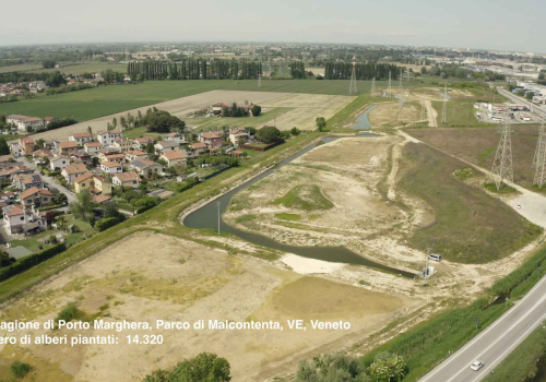 VSF protagonista nel progetto che ha portato alla piantumazione di 14mila alberi a Malcontenta, Venezia