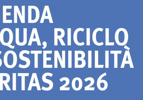 Agenda Veritas 2026: intervista al direttore VSF