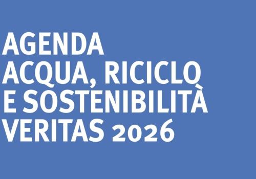 Agenda Veritas 2026: intervista al direttore VSF