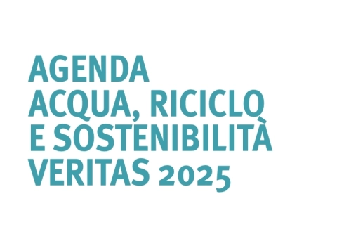 Agenda Veritas 2025: intervista al direttore VSF