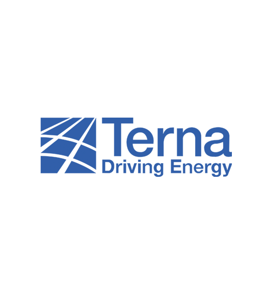 Terna Driving energy