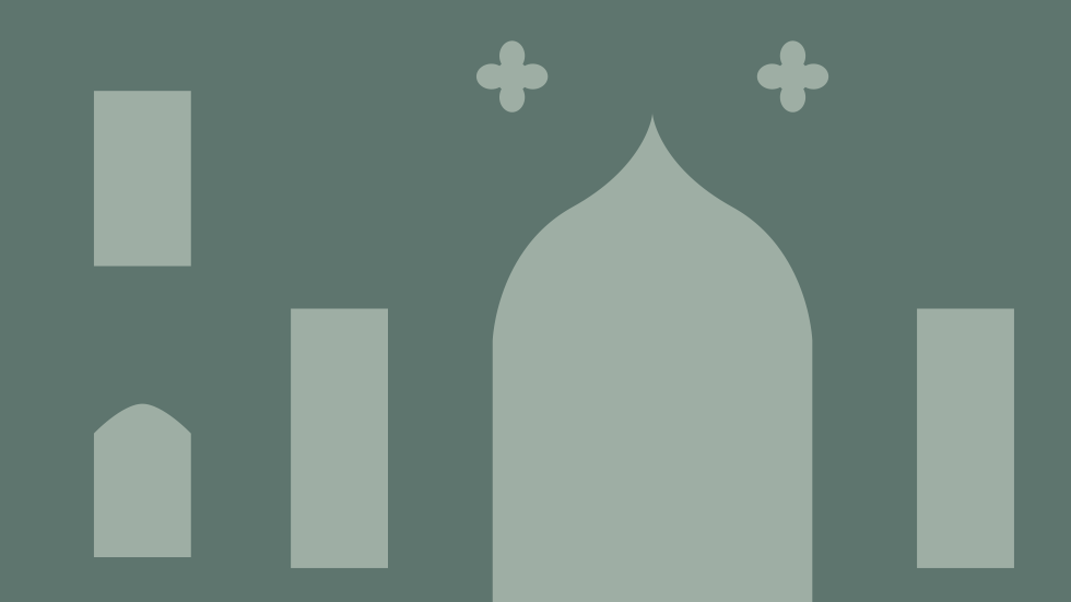 Fondazione Diabete Ricerca Onlus joins VSF